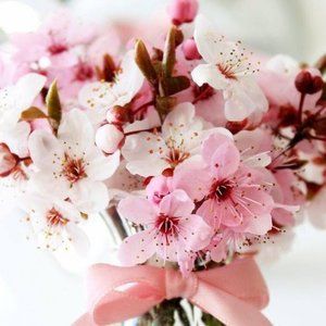 Meet your Posher, Ellen